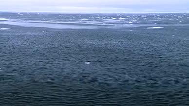 冰雪融化河水湖水视频的预览图